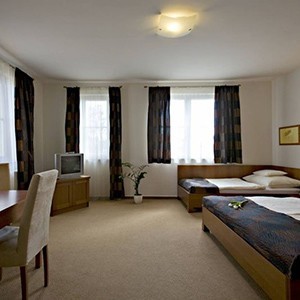 Accomodation PHAEYDE Hair Transplantation Clinic Budapest